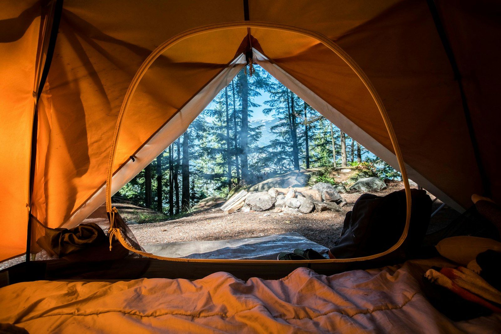 Campsite among tall trees